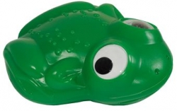 Žába do vody
