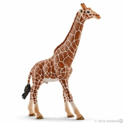 Žirafa samec Schleich 14749