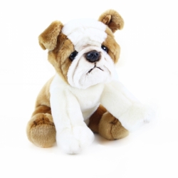 Buldog plyš 26cm