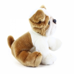 Buldog plyš 26cm