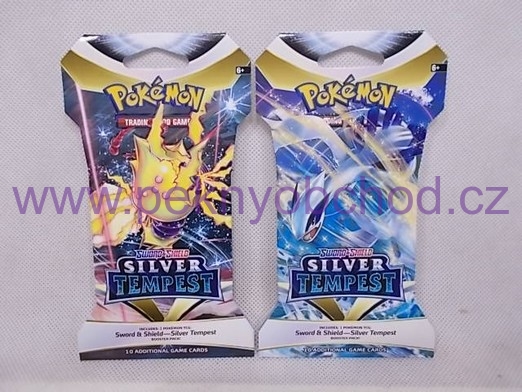 Pokémon Sword&Shield Silver Tempest